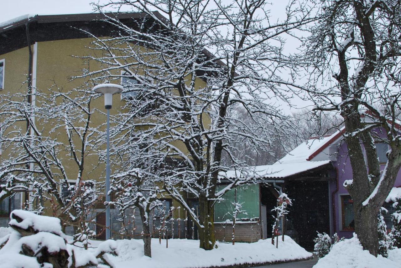 Farm Stay Bogsa Ormoz Buitenkant foto